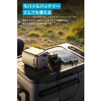 Anker Solix EverFrost 2 交換用バッテリー A17D2011 1個