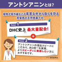 （数量限定） DHC　速攻ブルーベリー V-MAX （20日分）　1セット（2袋パック）