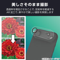 iPhone Air カメラレンズ保護 高透明 10H 指紋防止 クリア PM-A25BFLLP1CR エレコム 1個（直送品）