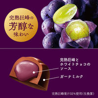 チョコレート プレミアムガーナ　ショコラセレクション　113g 1セット（1個×3）