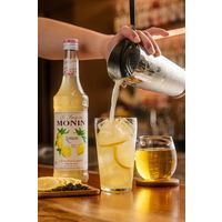 業務用 割り材 モナン レモン・シロップ 700ml 1ケース(6本) MONIN 割材 ドリンクベース フレーバーシロップ