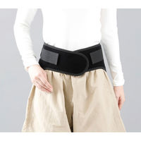 アルファックス エイドクロスサポーター 腰用・L 442912 1枚（直送品）