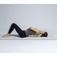 リッチェル キカケア バックローラー 110104 1個（直送品）