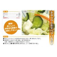 根昆布だし 300ml 1本 北海道ケンソ  ねこんぶだし ねこぶだし 濃縮だし 和風調味料