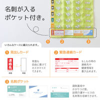 リヒトラブ おくすりポケット1週間ワイドタイプ<名刺ポケット付き> ベージュ OF5-16 1組(20枚)