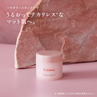 カラミー カラミンノーセバムジェル 70g ロート製薬