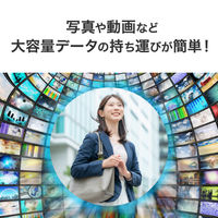 アイ・オー・データ機器 USB 5Gbps 対応 ポータブルHDD TV録画対応 2TB ブラック HDPH-UTV2K 1台