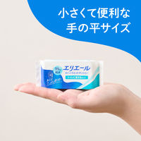 ウェットティッシュ エリエール ポケットウエットティシュー 99％純水 トイレに流せるタイプ 携帯用 1セット（1パック(7枚×6個入)×3）大王製紙