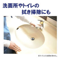 【アウトレット】BARIAN（バリアン）瞬間消臭 清掃ウェットシート　1セット（20枚入×2個）山崎産業