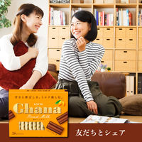 チョコレート菓子 ガーナ　ローストミルクエクセレント　119g 1セット（1個×12）