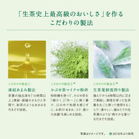 キリンビバレッジ キリン 生茶 ラベルレス 525ml 1セット（96本） お茶 緑茶 ペットボトル