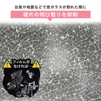 アストロ 水で貼れる! 窓用フィルム すりガラス調 730-65 1セット(3枚入×10)（直送品）