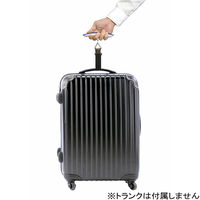 コンヨ かんたんデジタルはかり 吊型 50kg EDS-50H 1個