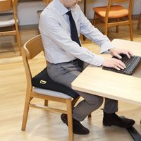 西川 傾斜付きシートクッション 2455-10144 1枚（直送品）