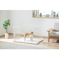 アイリスオーヤマ システムサークルトレー付き マットホワイト STS-1200T 1台