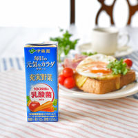 伊藤園 充実野菜 100億個の乳酸菌ミックス エコパック 紙パック 200ml 1箱（24本入）【野菜ジュース】