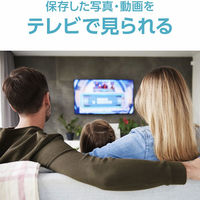 ネットワーク接続ハードディスク（ＮＡＳ）　２ドライブモデル　２ＴＢ HDL2-TA2 1台 アイ・オー・データ機器（直送品）