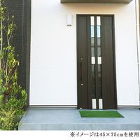 ベストコ 玄関マット 24×55cm グリーン 泥落とし 水洗いOK グラススタイルマット 芝生調 ND-611 4975970249789 1個