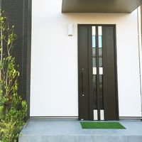 ベストコ 玄関マット 45×75cm グリーン 泥落とし 水洗いOK グラススタイルマット 芝生調 ND-613 4975970249802 1個