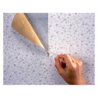 建築の友 耐水性壁紙のりキット 552005 1個