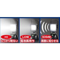 朝日電器 防水ポータブルライト DOP-BL01 1個