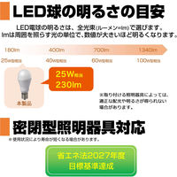 朝日電器 ＬＥＤ電球　ミニクリプトン形 LDA2L-G-E17-G4102 1個