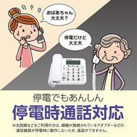 パナソニック コードレス電話機(子機1台付き) VE-GD27DL-W 1台