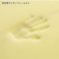 セルタン カバーが洗える 低反発ミニラウンドクッション 380×380mm ダリアンベージュ A1061-642BE 1台（直送品）