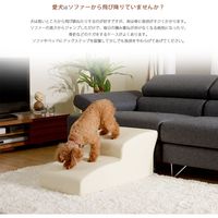 セルタン ドックステップ 2段CML A385-677CML 1台（直送品）