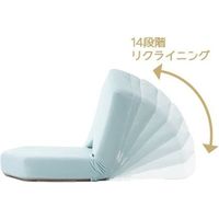 セルタン インテリア 座椅子 テクノピンク A897-648PIK 1台（直送品）