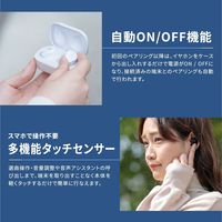 LIVIL audio 完全ワイヤレスイヤホン 完全独立型 Bluetooth イヤフォン LIV120 Qualcomm マットブラック（直送品）