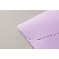 ライオン事務器 不透明PPカラーホルダー ペルト A4サイズ ラベンダー CF-62P LA 1セット(1冊×5)