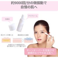 Areti（アレティ） 美顔器 電池式 イオン 導入 導出　b1046（直送品）