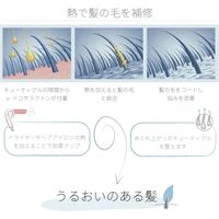 Areti（アレティ） ヒートガード シャンプー 熱 ダメージケア 保湿 補修（直送品）