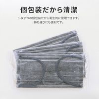 MSソリューションズ 不織布マスク 灰 ふつうサイズ(個包装) 50枚入/箱 PL-FM03GY50EG 2箱