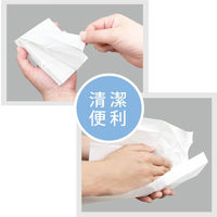 エヒメ紙工 ポケットペーパータオル 使い捨て手拭き用 10枚入×10個パック PPT-10P 1セット(100枚入)