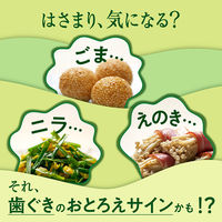 ディープクリーン 薬用ハミガキ 160g（大容量） 花王 歯磨き粉 歯槽膿漏・歯肉炎・口臭予防