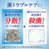 薬用ピュオーラ 洗口液 ストロングミント 850mL 花王 マウスウォッシュ 長時間殺菌コート ネバつき浄化 歯肉炎・口臭予防