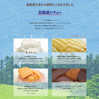 ハウス食品　北海道シチュービーフ