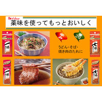 ハウス食品 一味唐がらし 袋入り 詰め替え用 12g 10袋
