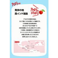 サントリー アセロラドリンク 900ml 1箱（12本入）