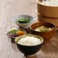 新潟県産 コシヒカリ 5kg 【精白米】 令和7年産 米 お米 こしひかり