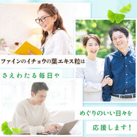 ファイン　イチョウの葉エキス粒 400粒　1セット（2個）　サプリメント