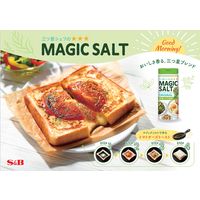 S&B　マジックソルト　80g　2個　エスビー食品