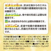 マルチビタミン ミネラル 必須アミノ酸 約30日分(120粒入り)【小林製薬の栄養補助食品】 1セット（3袋） サプリメント