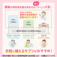 葉酸鉄カルシウム約30日分（90粒入り） 1セット（2袋） 【小林製薬の栄養補助食品】 サプリメント