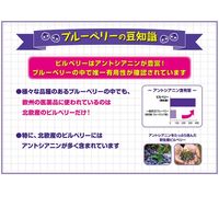 小林製薬の栄養補助食品　ブルーベリー　約30日分　30粒　サプリメント