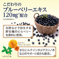 ブルーベリー ルテイン メグスリノ木 約30日分(60粒入り)【小林製薬の栄養補助食品】×2袋　サプリメント