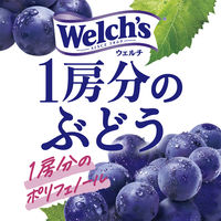 アサヒ飲料「Welch's」（ウェルチ）1房分のぶどう 470ml 1箱（24本入）