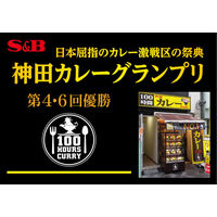 エスビー食品 神田カレーグランプリ 100時間カレーB＆R 欧風ビーフカレー 1セット（3個）レトルト レンジ対応